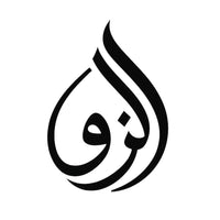 one of nur logo design 